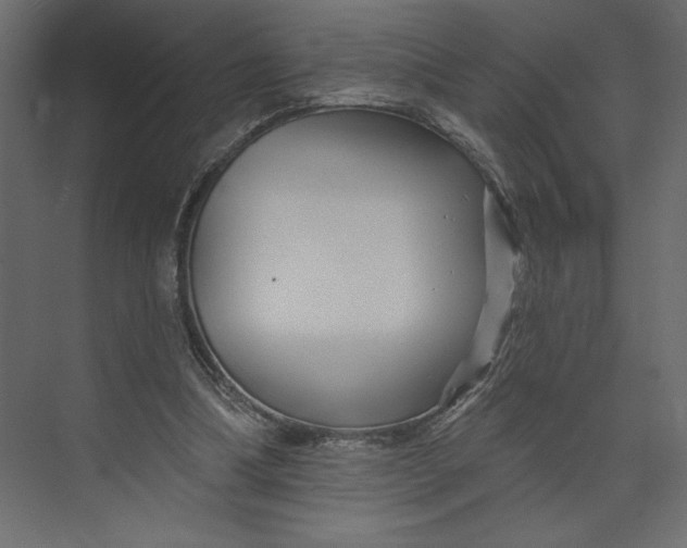 X0000073420298200608181128