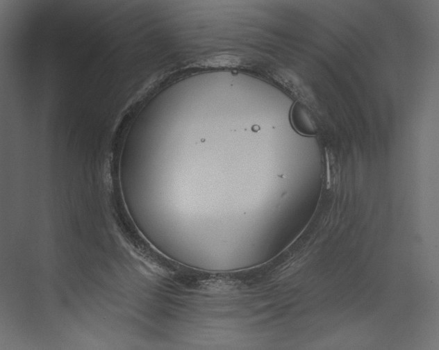 X0000073420300200608181128