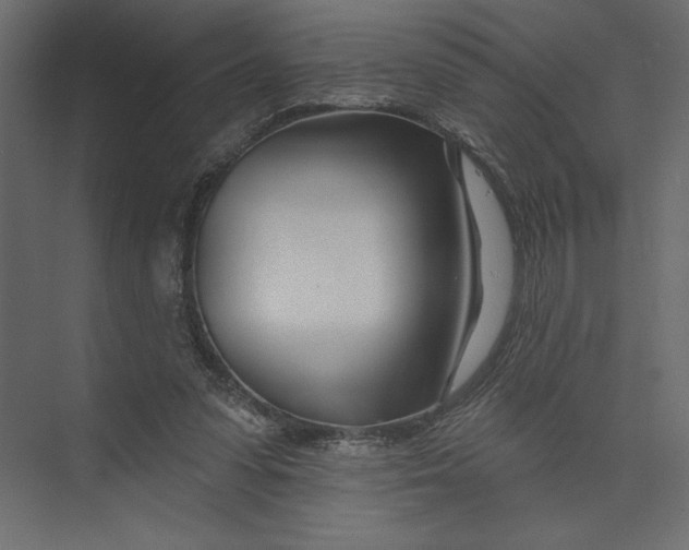 X0000073420303200608181128