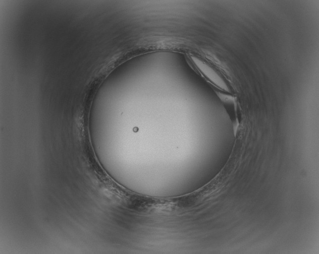 X0000073420306200608181128