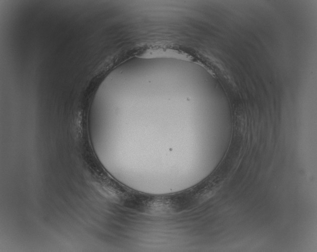 X0000073420308200608181128