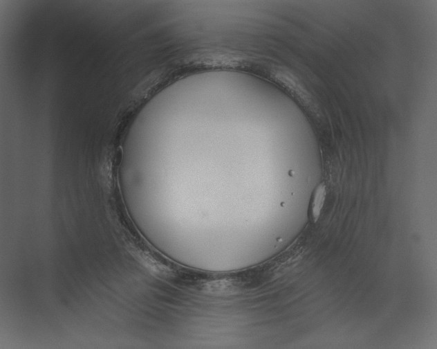 X0000073420309200608181128