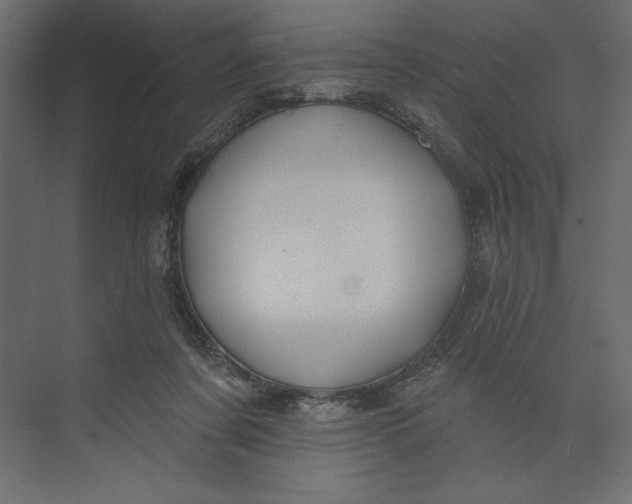 X0000073420311200608181128