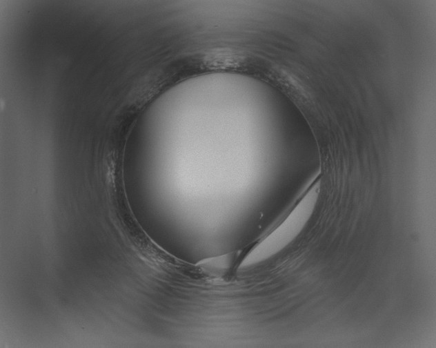 X0000073420315200608181128