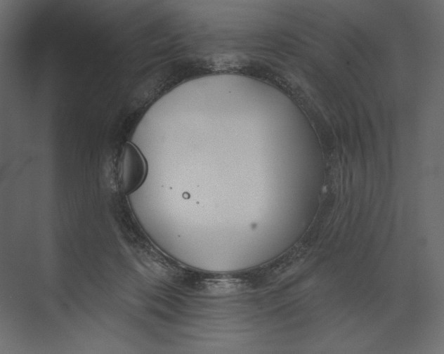 X0000073420316200608181128