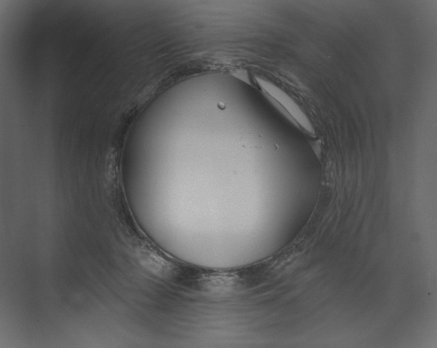 X0000073420318200608181128