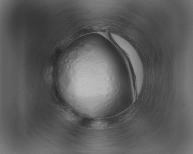 X0000073420319200608181128