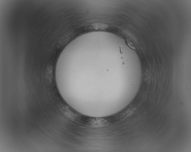 X0000073420321200608181128