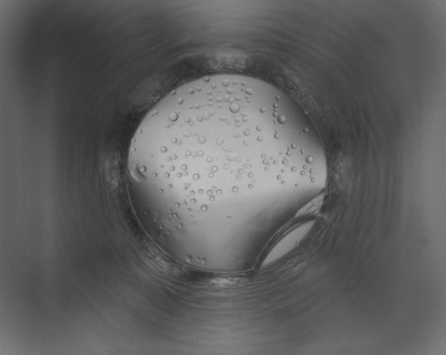 X0000073420323200608181128