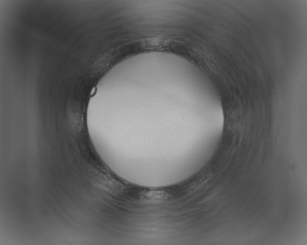 X0000073420324200608181128