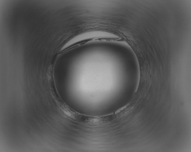 X0000073420325200608181128