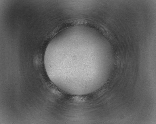 X0000073420326200608181128