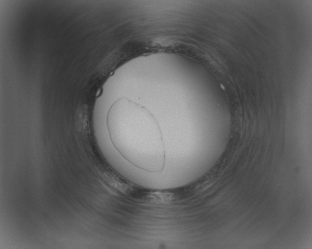 X0000073420328200608181127