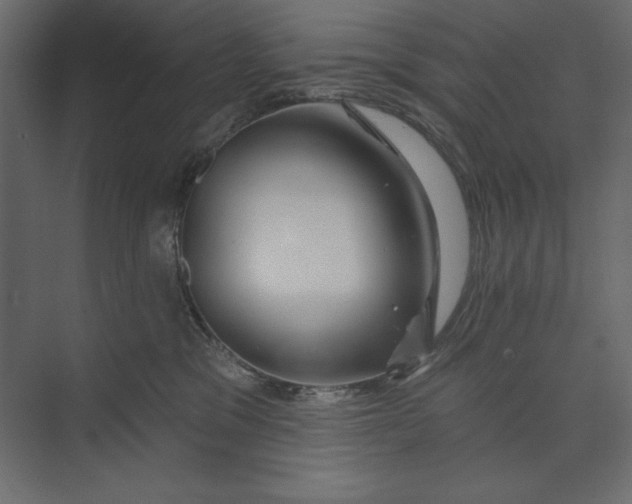 X0000073420329200608181127