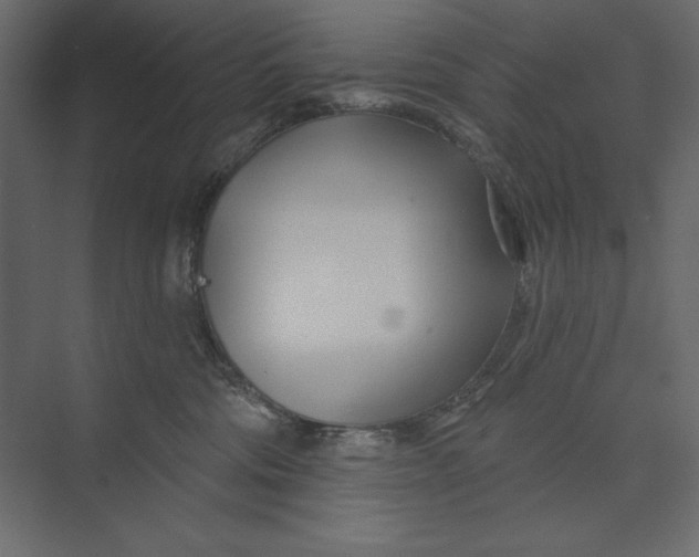 X0000073420330200608181127