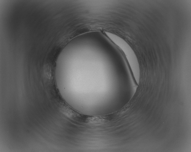 X0000073420331200608181127