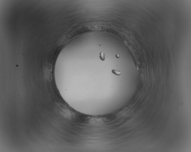 X0000073420332200608181127