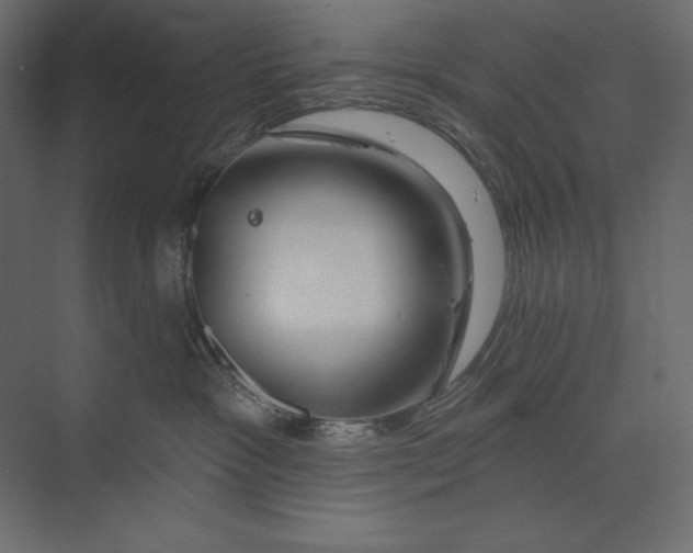 X0000073420333200608181127