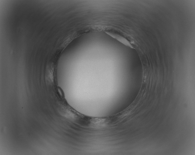 X0000073420334200608181127