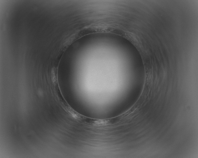 X0000073420335200608181127