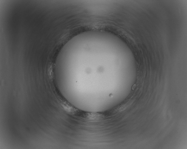 X0000073420336200608181127