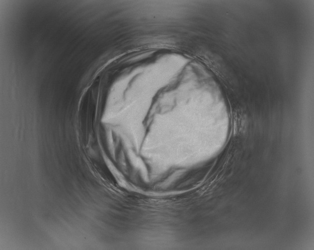 X0000073420339200608181127