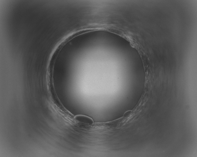 X0000073420342200608181127