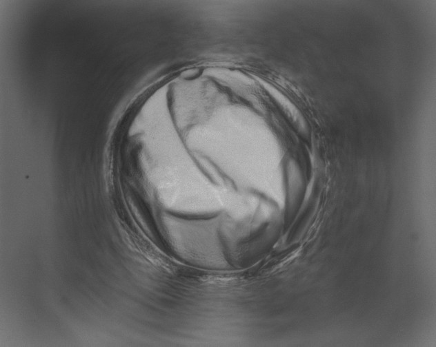 X0000073420343200608181127