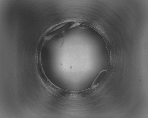 X0000073420348200608181127