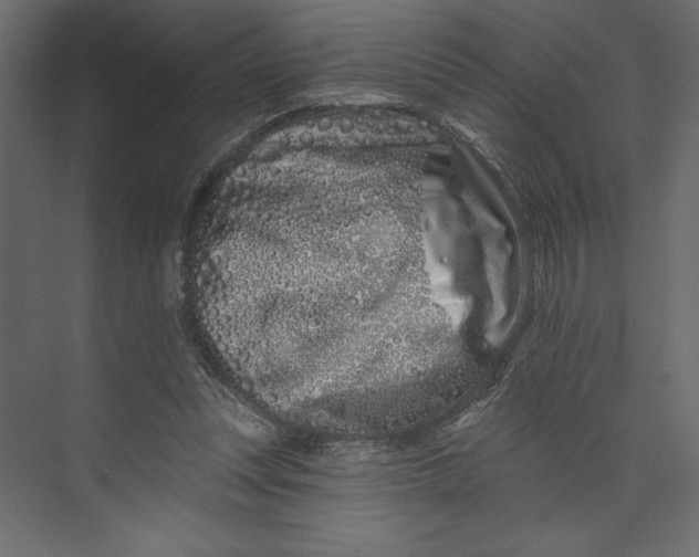 X0000073420351200608181127