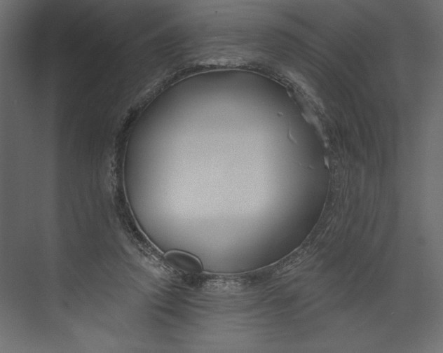 X0000073420354200608181127