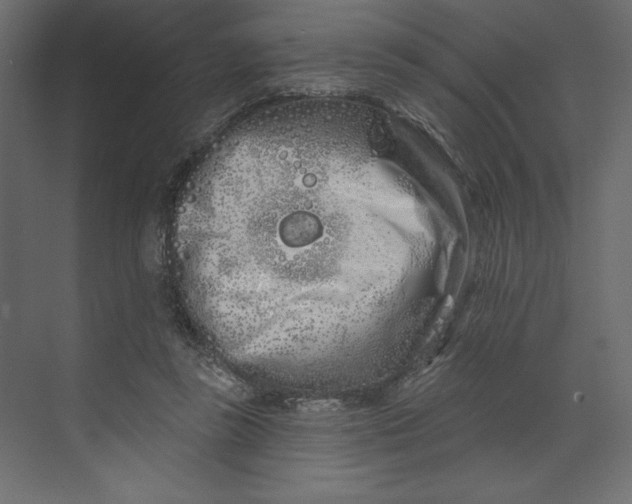 X0000073420355200608181127