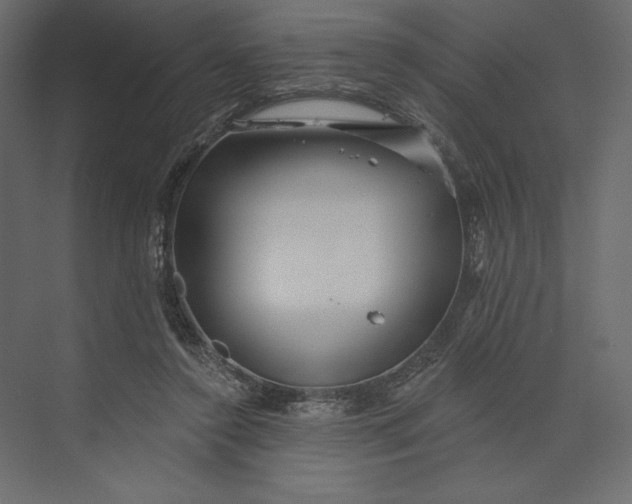 X0000073420356200608181127