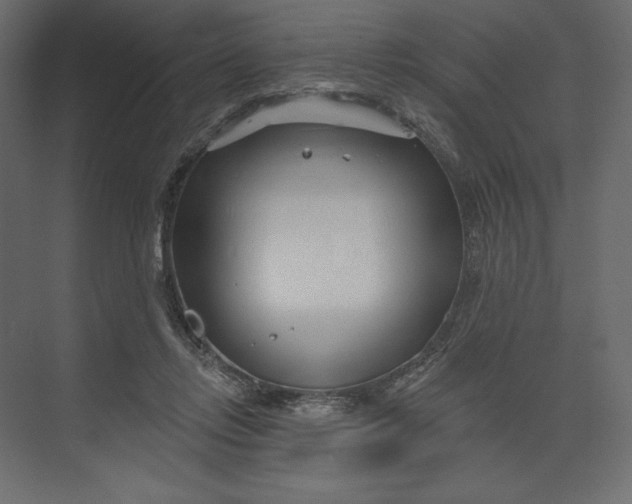 X0000073420358200608181127