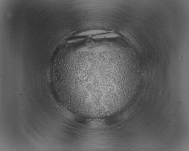 X0000073420359200608181127