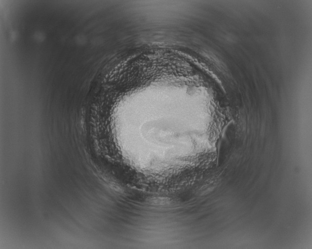 X0000073420361200608181127