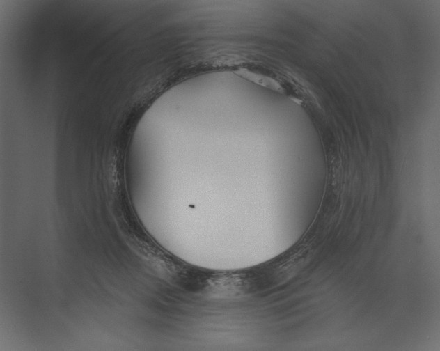 X0000073420362200608181127