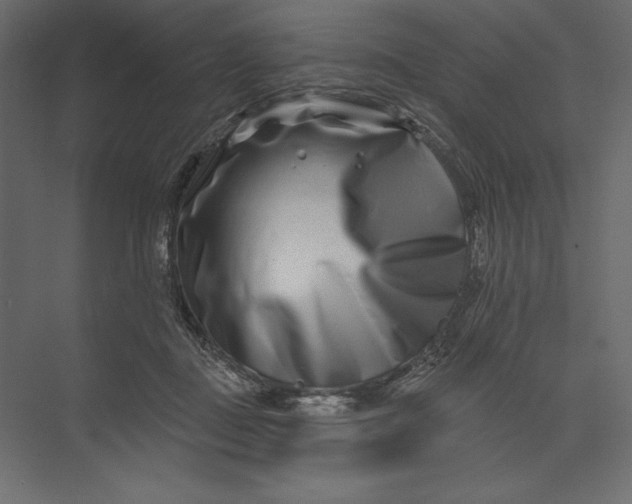 X0000073420363200608181127