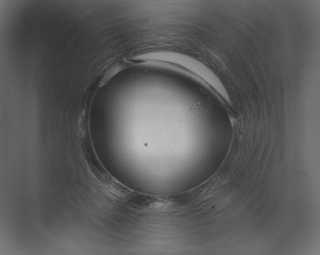 X0000073420364200608181127