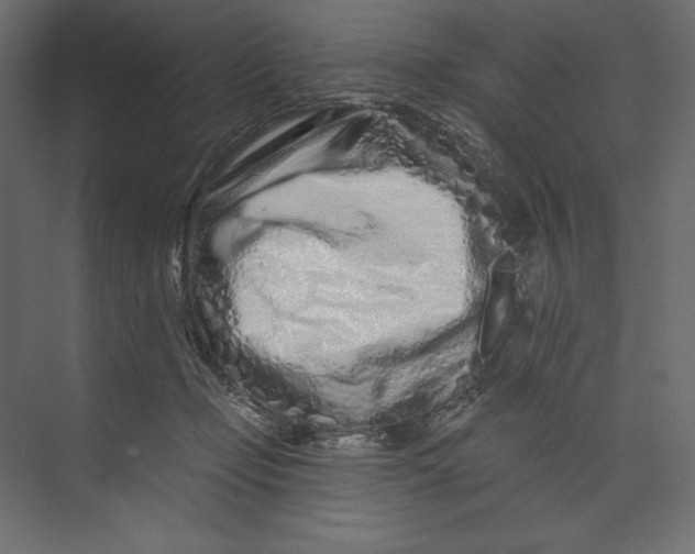 X0000073420365200608181127