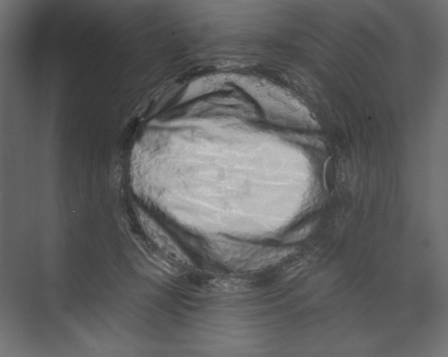 X0000073420367200608181127