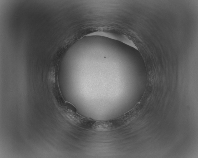 X0000073420368200608181127