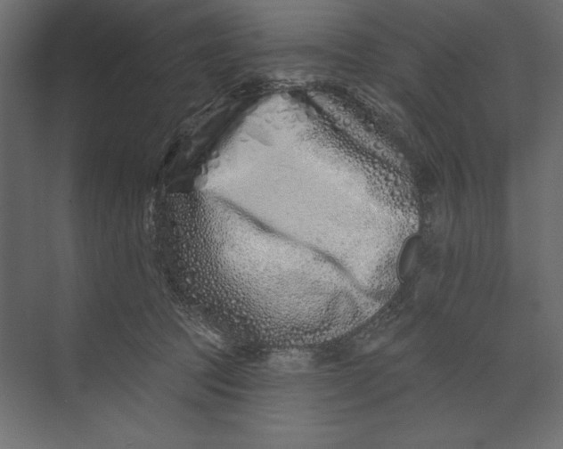 X0000073420369200608181127