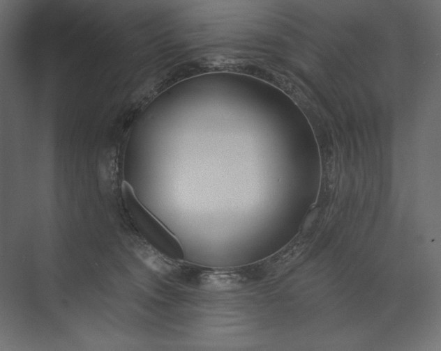 X0000073420372200608181127