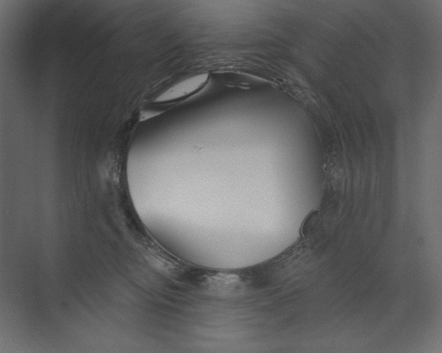 X0000073420374200608181127