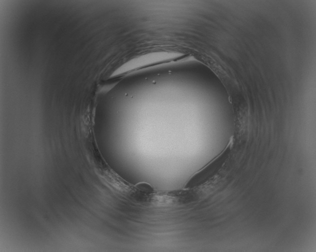 X0000073420376200608181127