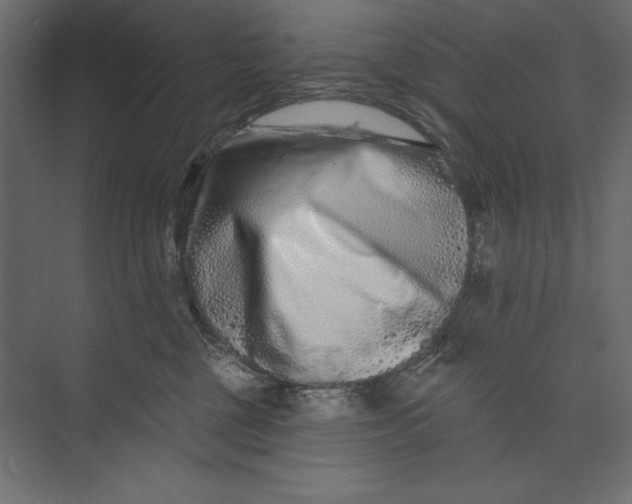 X0000073420377200608181127