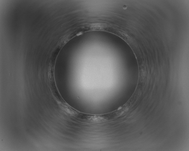 X0000073420379200608181127