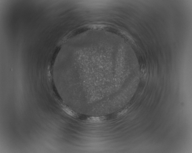 X0000073420381200608181127