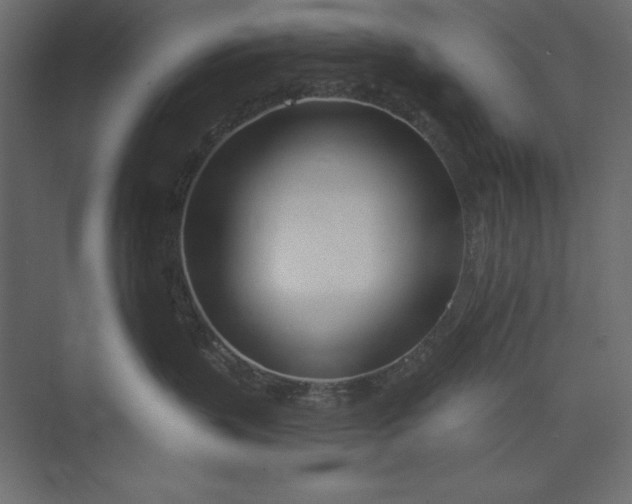 X0000073420383200608181127